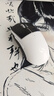 羅技（G）GPW四代 GPW4小狗電競無(wú)線(xiàn)游戲鼠標 8K FPS職業(yè)電競配置（白色） 曬單實(shí)拍圖