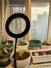 燈靈植物補(bǔ)光燈仿太陽(yáng)光全光譜室內(nèi)綠植物生長(zhǎng)燈led植根塊專用落地?zé)?曬單實(shí)拍圖