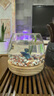 貝初眾魚缸小魚缸桌面斗魚缸超白玻璃生態(tài)缸迷你小型魚缸辦公室金魚缸 【中號】木托缸裸缸12.5*9cm 【便攜養(yǎng)魚】 曬單實拍圖