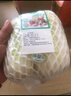 海篁山【順豐發(fā)貨】精選有機(jī)娃娃菜 新鮮蔬菜火鍋菜小白菜新鮮時令蔬菜 【有機(jī)娃娃菜】400g*3份 曬單實拍圖