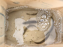 活魚(yú)桶折疊漁桶魚(yú)箱裝魚(yú)桶大號釣魚(yú)桶一體桶一件起批釣魚(yú)打水桶 EVA活魚(yú)桶30cm+增氧泵 曬單實(shí)拍圖