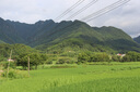 佳能（Canon） EOS 200D二代 200d2代單反相機入門單反vlog迷你單反數(shù)碼照相機 200DII 18-55黑色+佳能小痰盂雙鏡頭套裝 套餐一【128G內(nèi)存卡~抗震防雨包~Vlog套裝】 曬單實拍圖