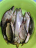 漁之源釣椅配件拐角炮臺架魚(yú)護架魚(yú)具用品大全釣魚(yú)專(zhuān)用漁具鋁鎂合 鋁鎂合金-拐角炮臺架-無(wú)極版 曬單實(shí)拍圖