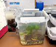 MDUG魚(yú)缸過(guò)濾器小魚(yú)缸過(guò)濾器循環(huán)泵增氧泵吸糞三合一除油膜壁掛過(guò)濾器 2.5w小缸過(guò)濾器 曬單實(shí)拍圖