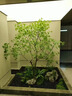 高端彷真楓葉樹(shù)馬醉木室內假樹(shù)綠植造景裝飾大型榕樹(shù)簡(jiǎn)約櫥窗植物 定制尺寸 曬單實(shí)拍圖