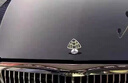 豐普拉適用2025款邁巴赫S480車標(biāo)立標(biāo)S580標(biāo)S680標(biāo)志GLS480 gls600尾標(biāo) 邁巴赫高配帶字母立標(biāo) 曬單實(shí)拍圖