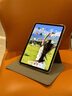 GOMI適用ipadair7/6/5保護殼可旋轉ipad11磁吸可拆分蘋(píng)果平板mini6/7/Pro112024保護套透明亞克力  【銀河灰】【磁吸拆分旋轉】 iPad mini6/mini7【8.3 曬單實(shí)拍圖