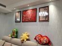 畫(huà)測現代北歐客廳裝飾畫(huà)文藝小清新手繪美女插畫(huà)臥室床頭掛畫(huà)餐廳墻畫(huà) 青春物語(yǔ)B1939 80*40cm【單聯(lián)】 紋理面+ps金外框 曬單實(shí)拍圖