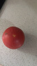 梓樂果正宗新疆普羅旺斯西紅柿沙瓤自然熟番茄現(xiàn)摘新鮮孕婦水果當(dāng)季整箱 5斤 15-18個【小果 家庭裝】 曬單實(shí)拍圖