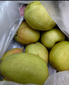 【產(chǎn)地直采】新疆庫爾勒香梨2.5kg 曬單實(shí)拍圖