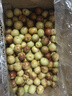 鮮級佳山東沾化冬棗新鮮大棗冰糖脆甜紅棗甜包郵孕婦水果當季水果脆青棗 【較甜】實(shí)惠超值 凈重4.5斤 曬單實(shí)拍圖