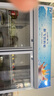 新飛（frestec）展示柜冷藏保鮮柜酒水飲料冰柜雙開(kāi)門(mén)冷藏柜酒店冷藏保鮮柜超市直冷玻璃門(mén)風(fēng)冷無(wú)霜冰箱立式冷柜 雙門(mén)藍白680L【直冷省電】1.2米 曬單實(shí)拍圖