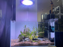 YEE水草飛碟燈爆藻草缸燈led全光譜支架吊燈筒燈防魚(yú)缸燈植物生長(cháng)燈 【智能飛碟燈100w-環(huán)形透鏡-9種顏色】 曬單實(shí)拍圖