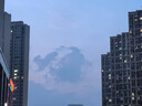 貓人純棉短袖女寬松休閑打底衫百搭純色上衣圓領(lǐng)內(nèi)搭t恤女 白色 M  曬單實拍圖