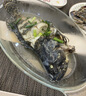 新鮮石斑魚(yú)新鮮海捕鮮活活魚(yú)冷凍老虎斑珍珠斑非紅口斑深海海鮮 石斑魚(yú)500-600g*2條 曬單實(shí)拍圖