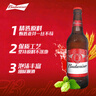 百威百威啤酒瓶裝經(jīng)典美式拉格小麥香黃啤酒鋁罐醇正品整箱批發(fā)派對 460mL 12瓶 整箱裝 【鎮(zhèn)店爆款】 曬單實拍圖