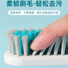 茶花 鞋刷子長柄硬毛家用多功能洗鞋清潔刷洗衣刷不傷鞋塑料小刷子 曬單實拍圖