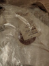 無(wú)印良品（MUJI）防紫外線 棉強(qiáng)捻 帶紐扣的披肩罩衫硬核防曬夏季外搭純棉D(zhuǎn)DE60A4S 白色 曬單實(shí)拍圖