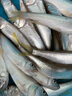 熊火vib路亞餌逗逗遠投型淡水海水通用釣翹嘴黑魚(yú)鱸魚(yú)金屬假餌套裝 VIB逗逗3.5g【10個(gè)裝】單鉤 曬單實(shí)拍圖