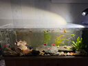 松寶（sobo） 魚(yú)缸加熱棒石英自動(dòng)恒溫加熱器烏龜缸加熱棒加溫棒 HTD-200W 曬單實(shí)拍圖