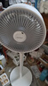 大宇大宇空氣循環(huán)扇遙控電風(fēng)扇落地家用搖頭電扇渦輪換氣扇循環(huán)對(duì)流風(fēng)扇落地扇臺(tái)地兩用 XF16白色八字搖頭遙控款 曬單實(shí)拍圖