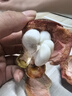 柚蘿泰國進(jìn)口山竹6A新鮮特大果當(dāng)季熱帶水果整箱孕婦時(shí)令油麻竹5A禮盒 5A-6A大果【凈果1.5斤裝】 曬單實(shí)拍圖