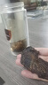 好戀你阿拉善荒漠肉蓯蓉油蓯蓉男性滋補(bǔ)非新疆可切片 泡酒泡茶搭鎖陽 肉蓯蓉3根500g【5年生】秋冬油貨高含量*推薦 曬單實(shí)拍圖