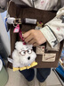 Tagi.彩色方塊 復古織嘜裝飾燈芯絨hobo大容量托特包單肩包 榛子燈芯絨 榛子燈芯絨 曬單實(shí)拍圖