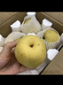 星派果（XINGPAIGUO）正宗河北皇冠梨10斤當(dāng)季皮薄新鮮脆甜多汁小花皮脆梨酥梨雪花梨 皇冠梨  精選帶箱9-10斤 曬單實(shí)拍圖