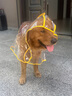 麥?zhǔn)嫣毓饭酚暌露放褡o(hù)肚泰迪專用小中型犬柴犬小狗透明雨披防水寵物衣服 【有效防雨】白色包邊雨衣 S(體重3-7斤 背長21-27CM) 曬單實拍圖