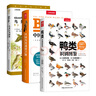 （贈(zèng)鳥(niǎo)類(lèi)貼紙）觀鳥(niǎo)書(shū)套裝三冊(cè) 鴨類(lèi)識(shí)別圖鑒+中國(guó)鳥(niǎo)類(lèi)觀察手冊(cè)+鳥(niǎo)類(lèi)行為圖鑒 中國(guó)國(guó)家地理鳥(niǎo)類(lèi)百科全書(shū)科普?qǐng)D鑒 曬單實(shí)拍圖
