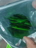 福記坊五清粉蔬菜粉青汁250g可沖泡蔬菜汁芹菜汁芹菜粉膳食纖維獨立包裝 曬單實(shí)拍圖