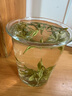 茵芙莎（IPSA）流金水200ml爽膚水抗痘補水保濕透亮美白祛斑護膚 曬單實拍圖