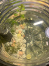 魚(yú)缸過(guò)濾材料魚(yú)缸濾材石英球火山石水族箱細菌屋凈水陶瓷環(huán)活性炭 13合1濾材一斤(送網(wǎng)袋) 曬單實(shí)拍圖