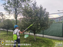 TOMSPOWER電動(dòng)加長(cháng)桿綠籬機充電式高枝修剪機鋰電高空鋸托馬斯園林綠化伸縮 3.2米直刀伸縮+30A(10小時(shí)) 曬單實(shí)拍圖