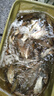 正天螺紋鋼魚(yú)竿超輕超硬19調(diào)大物巨物黑坑釣魚(yú)竿臺(tái)釣竿 1.23m 收縮長(zhǎng) 狂拉巨物版10H19調(diào) 8.1米+竿稍+垂釣禮包 曬單實(shí)拍圖