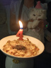 廬播寵物生日帽子貓咪狗狗圍兜派對裝扮可愛口水巾圍脖生日拍照裝飾品 寵物生日帽+圍兜【粉色1套裝】 曬單實(shí)拍圖
