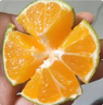 春福樂 新鮮青皮蜜橘【源頭直發(fā)】當季現摘水果云南蜜橘酸橘整箱包郵 凈重8.5-9斤親選 | 單果55-65mm 曬單實拍圖