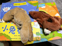 寶寶好習慣互動手偶書 小兔彼得小熊寶寶 嬰幼兒早教觸摸繪本0-3歲兒童洞洞書益智啟蒙認知動手能力訓練玩具書 寶寶好習慣互動手偶書 套裝2冊 曬單實拍圖