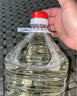 大福榮貴州遵義醬香型白酒53度純糧食高粱散酒泡酒佳品桶裝 53度 5000mL 1桶 大桶裝5L高粱酒V5 曬單實拍圖