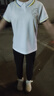 玫初莎女童短袖t恤2025夏裝初中高中學(xué)生少女polo衫大童12-15歲夏季服裝 白色-嘟嘟熊 150 (S) 建議70-85斤 曬單實(shí)拍圖