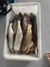 海韻小玲瓏鯽魚竿超輕超細(xì)37調(diào)魚竿手竿碳素長節(jié)臺(tái)釣竿釣魚竿漁具 2.7m 升級(jí)版送竿稍（無禮品 默認(rèn)項(xiàng) 曬單實(shí)拍圖