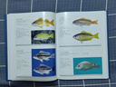 【現貨速發(fā)】官方正版中國海洋魚(yú)類(lèi)圖鑒超4000種魚(yú)類(lèi)海洋生態(tài)劉敏邵廣昭薛綺雯陳驍著(zhù)科普百科圖鑒 海峽書(shū)局 中國海洋魚(yú)類(lèi)圖鑒 曬單實(shí)拍圖