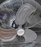 揚子大風力電風扇臺式趴地扇工業(yè)風扇強力坐地扇商用落地扇大功率臺扇工廠車間通風扇宿舍倉庫地面風扇 20寸趴地扇【銅電機】 曬單實拍圖