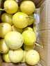 金百粟 百香果云南欽蜜9號(hào)黃金百香果新鮮水果當(dāng)季純甜百香果原漿 欽蜜9號(hào)凈重1斤 單果40-60g 曬單實(shí)拍圖