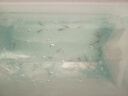 純種巴西寶蓮燈活體熱帶魚觀賞魚群游燈科魚小型魚苗寵物淡水魚 1.5-1.8cm紅綠燈 8條送2條備損 曬單實(shí)拍圖