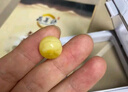 心佑天然俄料蜜蠟妖花單顆老型桶珠子單珠散珠配珠 星月配飾隔珠頂珠 妖花·老型桶10mm/單顆 曬單實(shí)拍圖