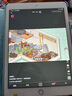 Apple蘋果ipad9/10/Pro2022/21/20款 /air5/mini7/6二手平板電腦 iPad Air2 曬單實拍圖
