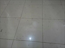 JCZS德國品牌驅(qū)蚊神器滅蚊片蚊香驅(qū)蚊片驅(qū)蚊殺煙霧無味家用老牌子電蚊 【50片+1個(gè)盒】 曬單實(shí)拍圖