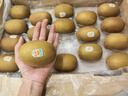 佳沛（zespri）新西蘭  陽(yáng)光金奇異果18粒超大果原箱單果重約173-204g 獼猴桃 曬單實(shí)拍圖